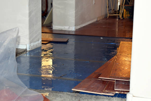 Professional Burst Pipe Cleanup technician working in Mount Carmel, PA